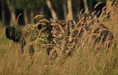 13 Ansitz auf Wild